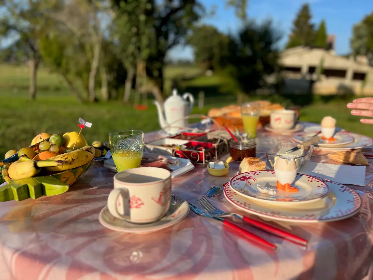 La table du petit-déjeuner dressée dans le verger : œufs à la coque, confiture maison, fruits de saison, jus d’orange, face aux champs.