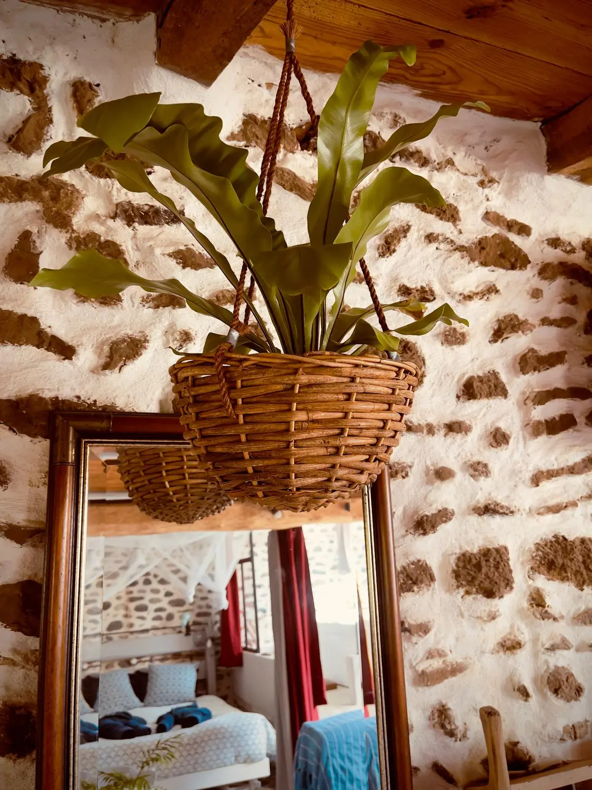 Une fougère suspendue dans un panier d’osier devant un miroir qui reflète le lit.