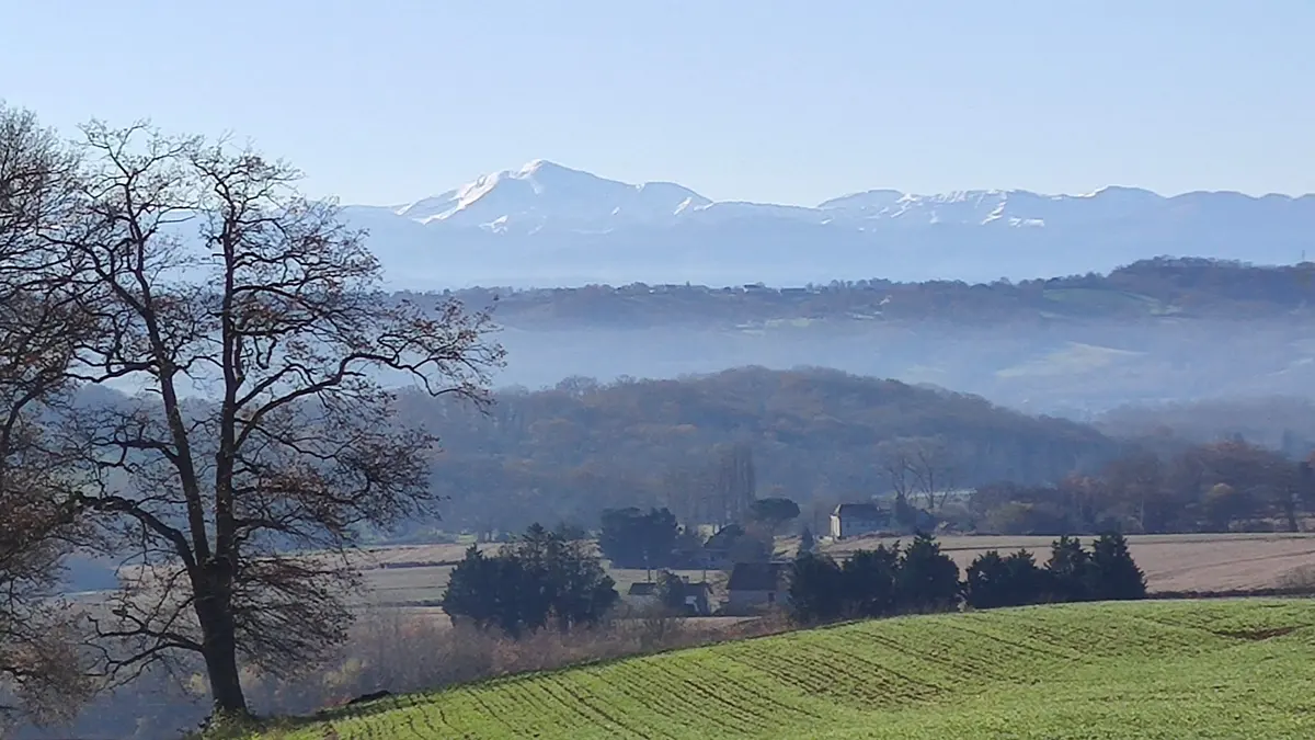 Vue depuis la ferme : les sommets enneigés des Pyrénées émergent au-dessus des collines béarnaises un matin d’hiver.